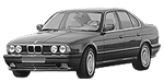 BMW E34 P1B95 Fault Code